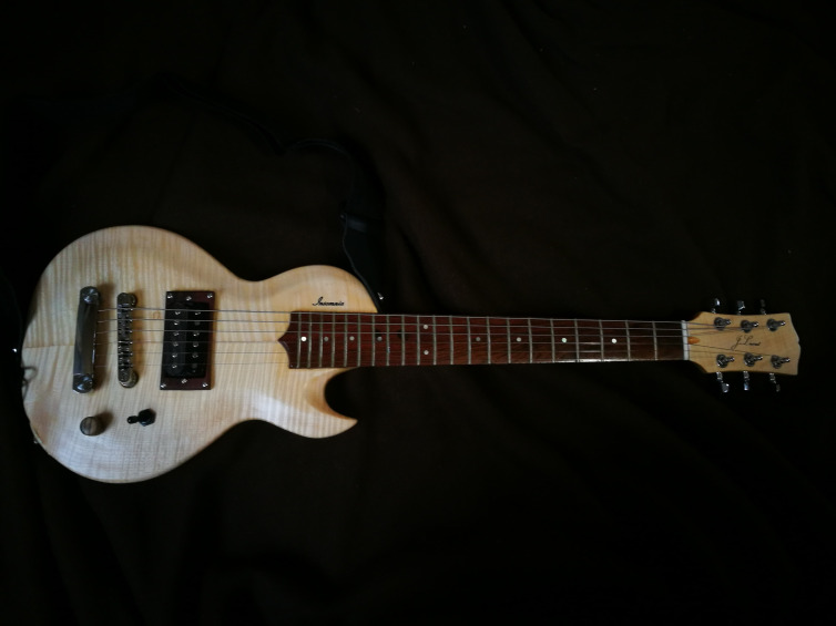 David Antony Reid, Hybrid Electric Guitar